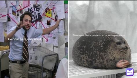 Everyone Is Going To Die 2025 Mo𝚟ie Release Announcements And 𝚆𝚊𝚝𝚌𝚑
